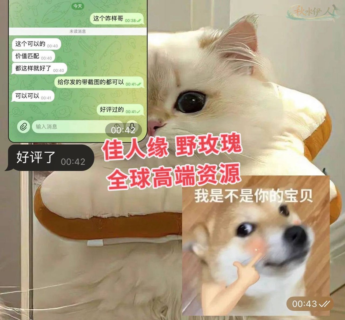 上海高颜值舞蹈生街拍图